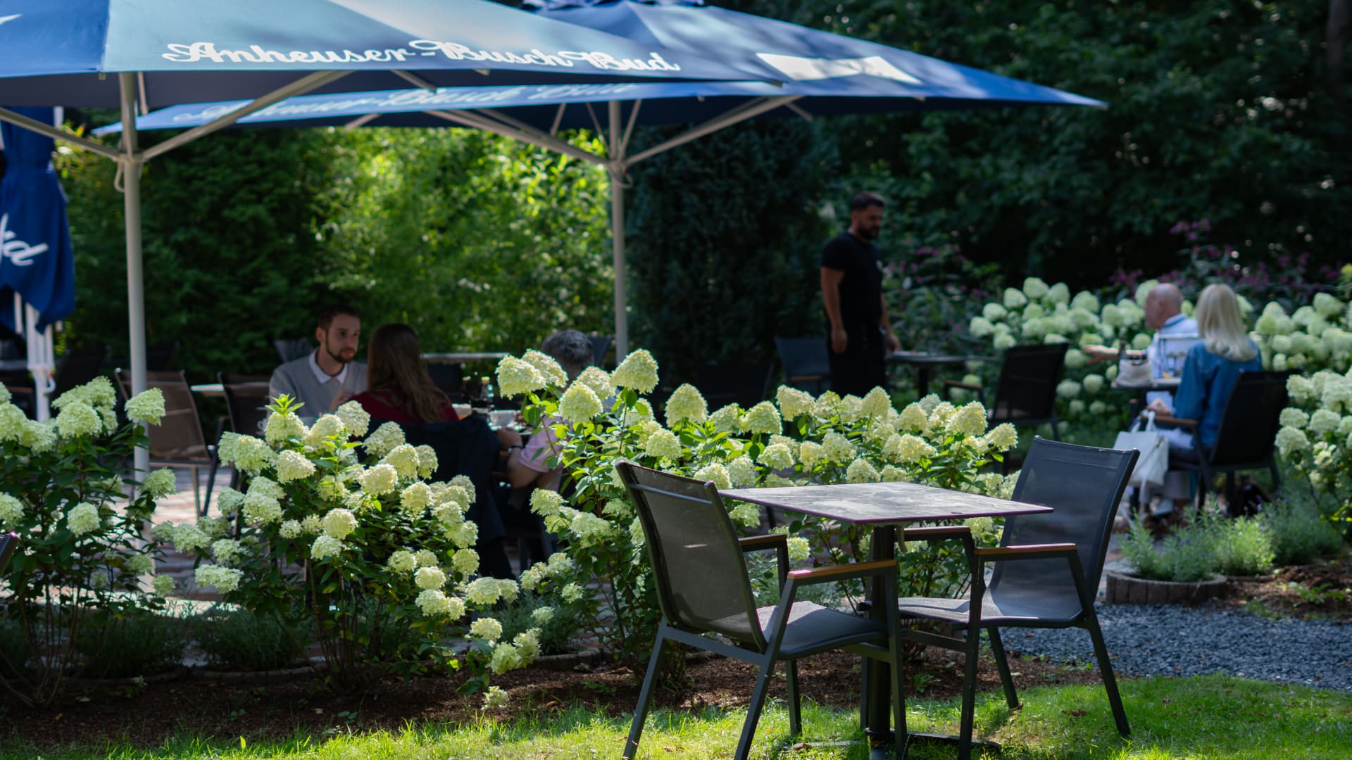 Gäste im Cafégarten zwischen Hortensien